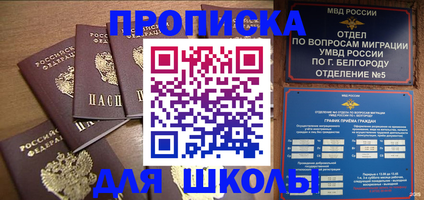 прописка гарантия в Можайске